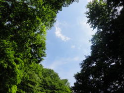 �N���j�b�N�O��